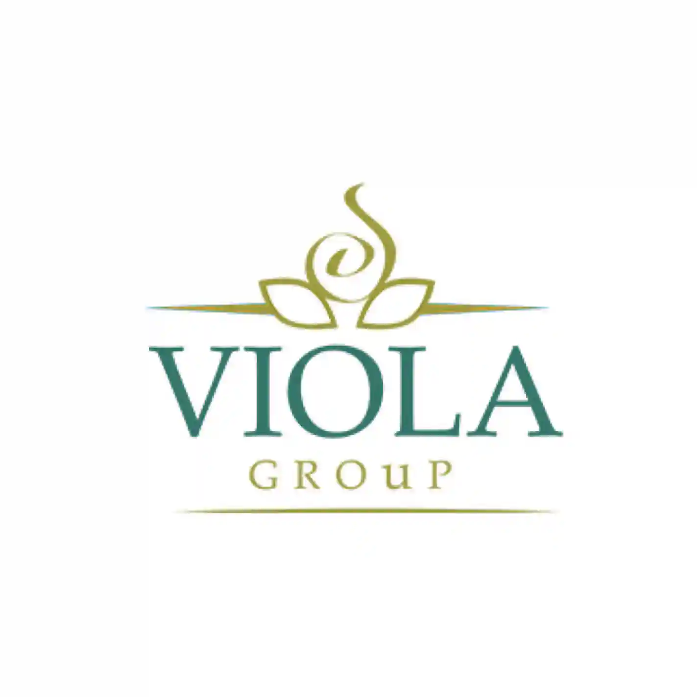 Viola Group